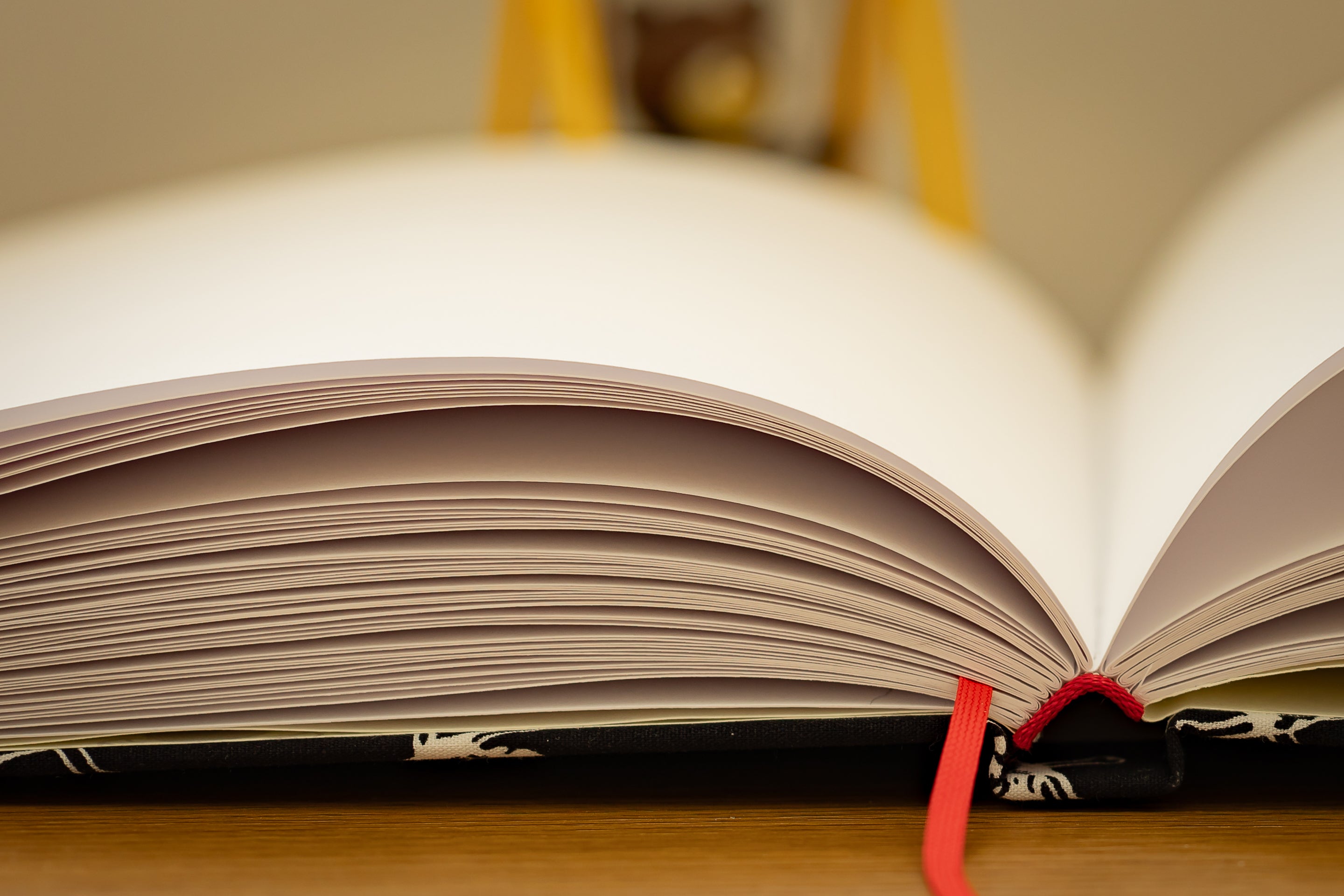 Handgebundenes Notiz-/Malbuch mit Skelettkopfeinband
